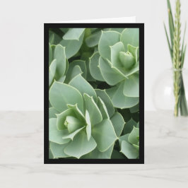 緑の開花 – ソルの歌。8:7グリーティングカード カード