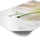 緑の雄蕊と黄色の中心を持つ白いユリ フォトプリント            (角)