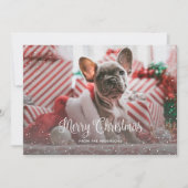 緑の雪のフォトクリスマスカード シーズンカード (正面)