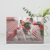 緑の雪のフォトクリスマスカード シーズンカード (スタンド正面)