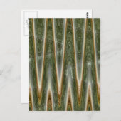 緑の霧 ポストカード (正面/裏面)