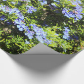 緑の青いローズマリーの花 ラッピングペーパー (角)