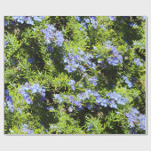 緑の青いローズマリーの花 ラッピングペーパー (フラット)