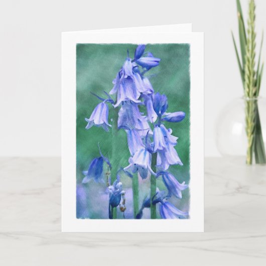 緑の青 カード (正面)