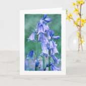 緑の青 カード (黄色い花)