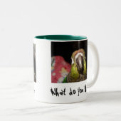 緑の頬のConureの朝人 ツートーンマグカップ (正面右)