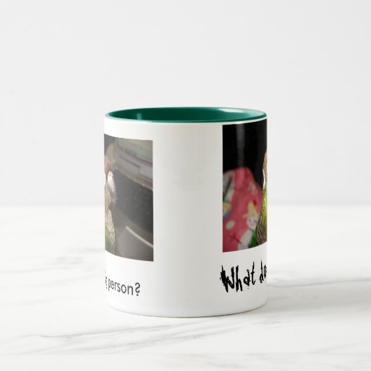 緑の頬のConureの朝人 ツートーンマグカップ (中央)