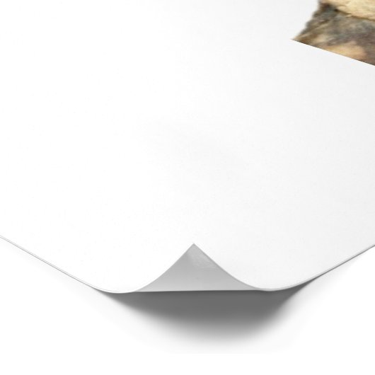 緑の頬 ポスター (角)