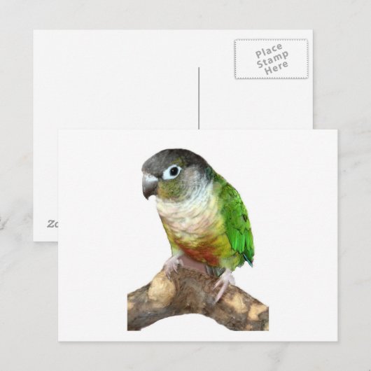 緑の頬 ポストカード (正面/裏面)