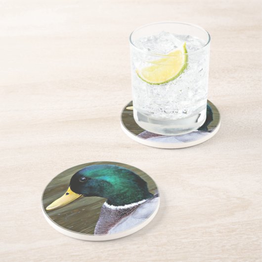 緑の頭のマラードアヒルの写真砂岩 コースター (側面)
