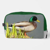 緑の頭のマラードアヒル野生生物写真 ドップキット (正面)