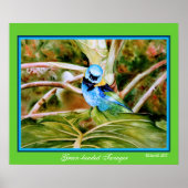 緑の頭を持つタネガーファインアートポスター ポスター (正面)