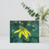 緑の頭付きベニバナイエローワイルドフラワーポストカード ポストカード (スタンド正面)