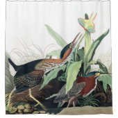 緑の鷲の鳥のAudubonの野性生物のシャワー・カーテン シャワーカーテン (正面)