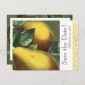 緑の黄色のヴィンテージ梨の木の日付を保存 案内ポストカード (正面/裏面)