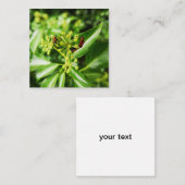 緑の2.5インチx 2.5インチエンクロージャカードのバグ エンクロージャーカード (正面/裏面)