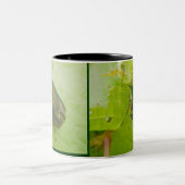 緑の6月カブトムシのマグ ツートーンマグカップ (中央)