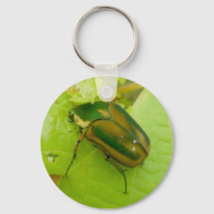 緑の6月カブトムシKeychain キーホルダー