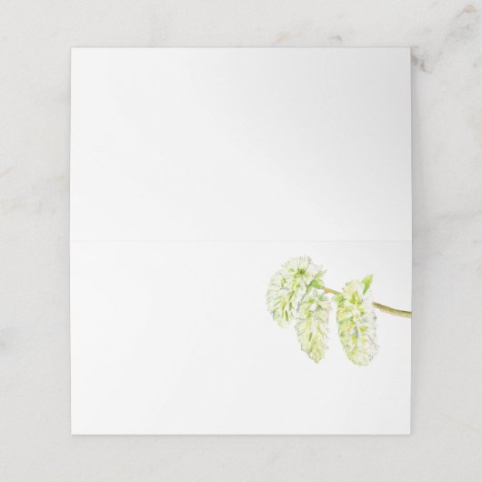 緑の《植物》アスペンのカタキンスの水の色名 プレイスカード (外部開封)