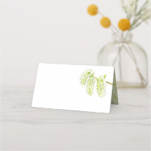 緑の《植物》アスペンのカタキンスの水の色名