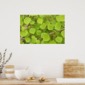 緑の《植物》アスペン葉 ポスター (キッチン)