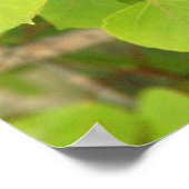 緑の《植物》アスペン葉 ポスター (角)