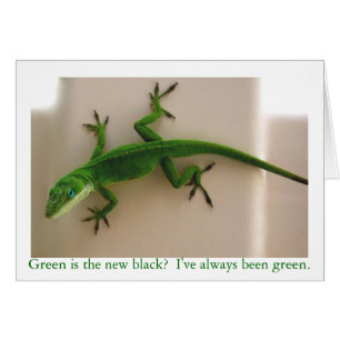 緑のAnole