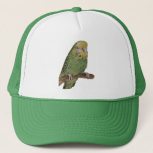 緑のbudgieの芸術の帽子 キャップ