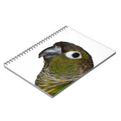 緑のCheeked Conure ノートブック (左側)
