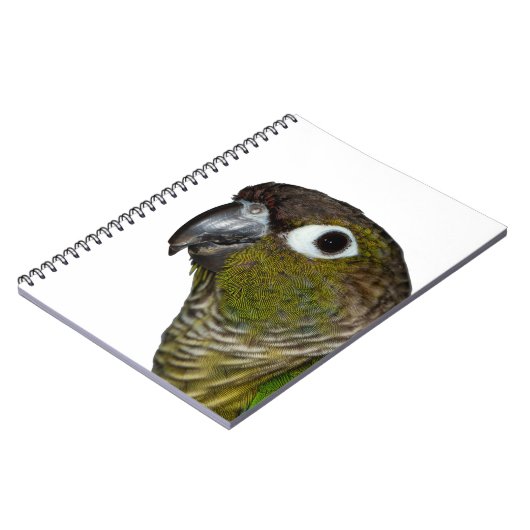 緑のCheeked Conure ノートブック (左側)