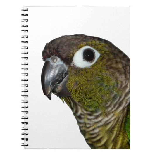 緑のCheeked Conure ノートブック (正面)