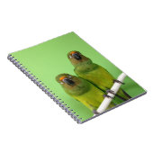 緑のConureのノート ノートブック (右側)