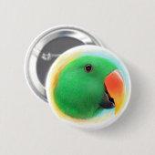 緑のeclectusのオウムの現実的な絵画 缶バッジ (正面&裏面)