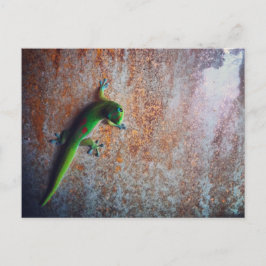 緑のGeckoはがき ポストカード