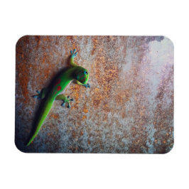 緑のGecko Flexiマグネット マグネット