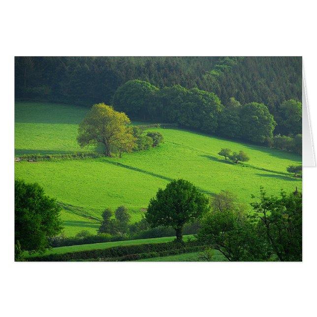 緑のHils (正面横)