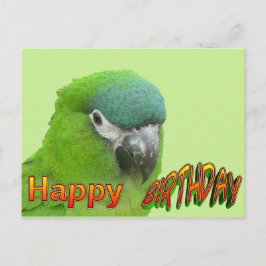 緑のLorikeetハッピーバースデーのお客様。ポストカード ポストカード