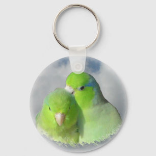 緑のparrotletの組 キーホルダー