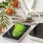 緑のStejnegerのピット毒蛇のヘビ キーホルダー (正面右)