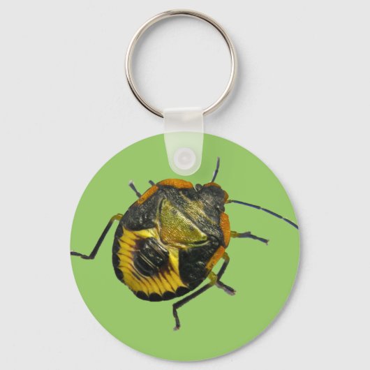緑のStink Bug Nymphコーディネート項目 キーホルダー (正面)