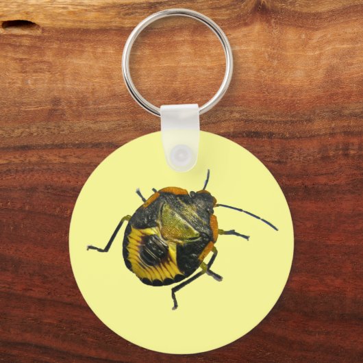 緑のStink Bug Nymphコーディネート項目 キーホルダー (正面)