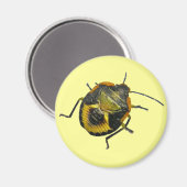 緑のStink Bug Nymphコーディネート項目 マグネット (正面/裏面)