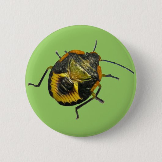 緑のStink Bug Nymphコーディネート項目 缶バッジ (正面)
