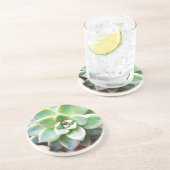 緑のSucculent コースター (側面)