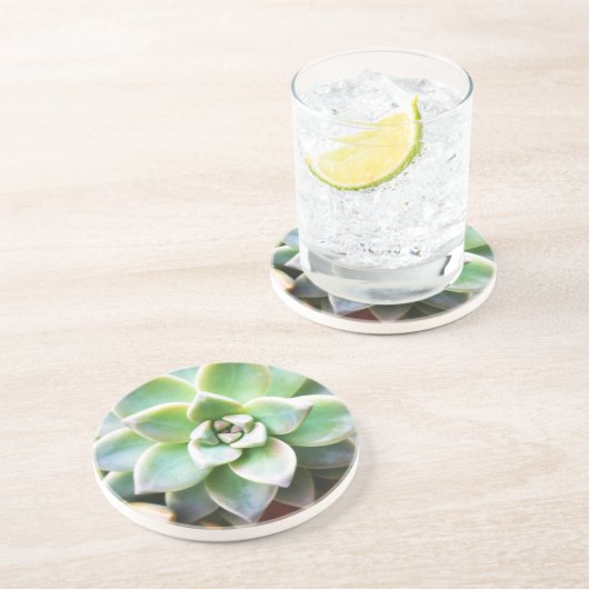 緑のSucculent コースター (側面)
