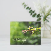 緑はがき ポストカード (スタンド正面)