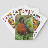 緑はっきりした草のアメリカンロビン トランプ (裏面)