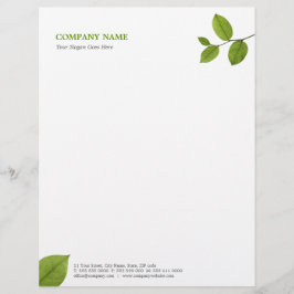 緑はレターヘッドを残します レターヘッド