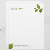 緑はレターヘッドを残します レターヘッド (正面/裏面)