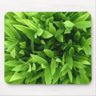緑はmousepadを残します マウスパッド